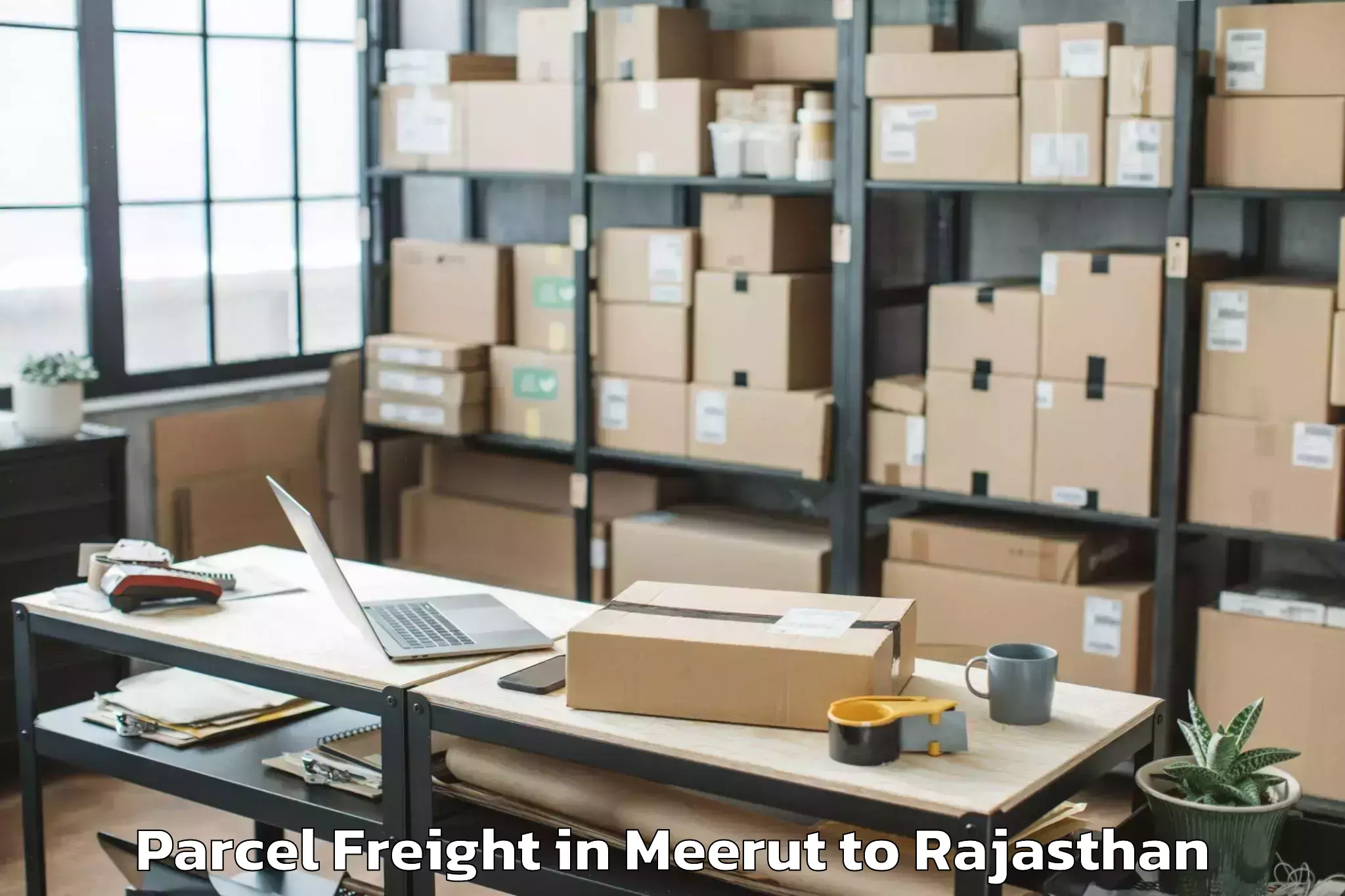 Reliable Meerut to Mahindra World City Jaipur Parcel Freight